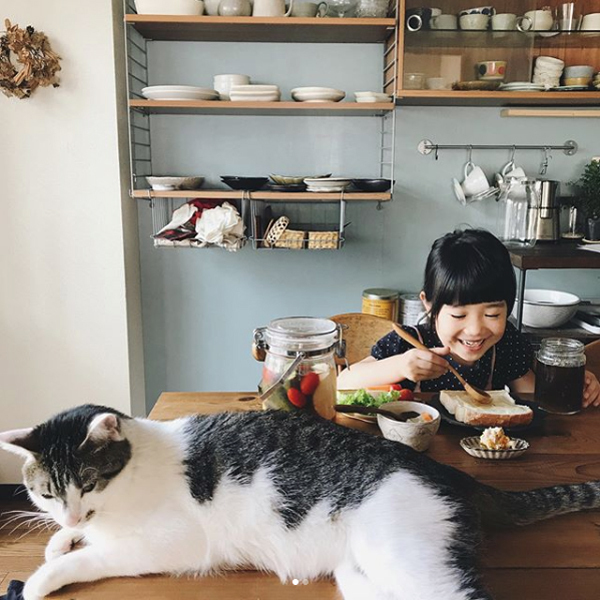 【いぬねこ うちのこ。】みちかちゃん（7歳）かほちゃん（5歳）と猫のコモン／やまがたゆりかさん