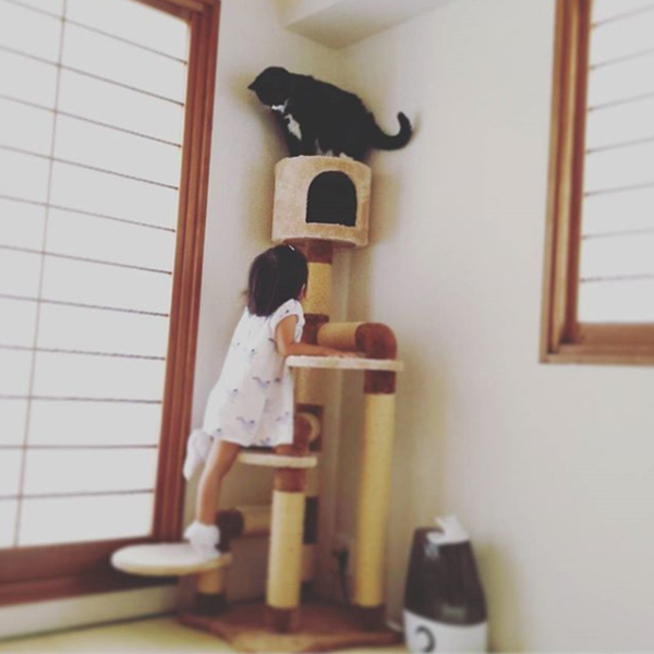 【いぬねこ うちのこ。】おくちがハートの猫サリーと小さな姉弟たち／かねこかなえさん