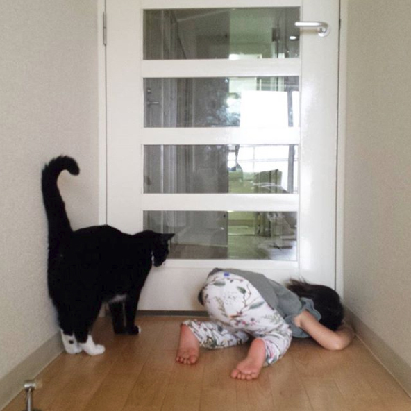 【いぬねこ うちのこ。】おくちがハートの猫サリーと小さな姉弟たち／かねこかなえさん