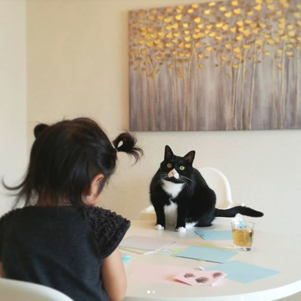 【いぬねこ うちのこ。】おくちがハートの猫サリーと小さな姉弟たち／かねこかなえさん