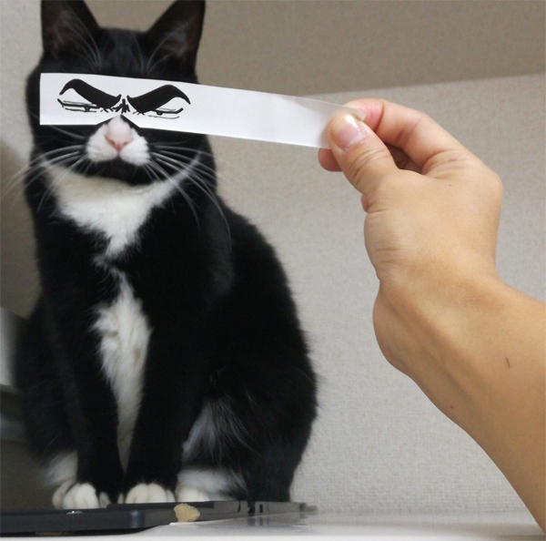 【いぬねこ うちのこ。】おくちがハートの猫サリーと小さな姉弟たち／かねこかなえさん