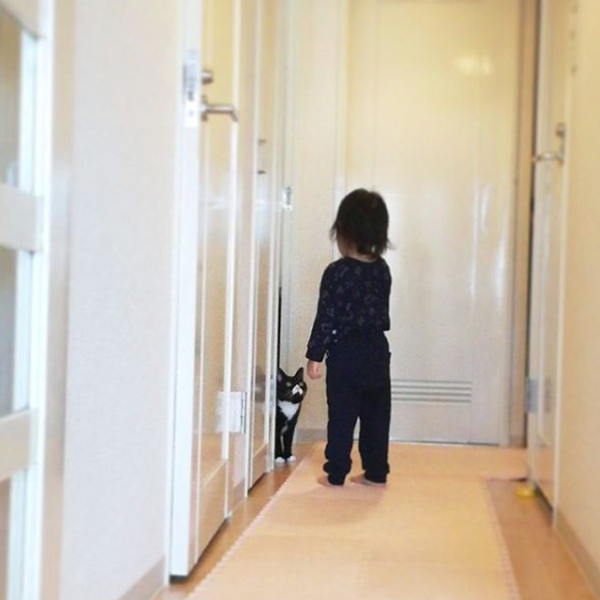 【いぬねこ うちのこ。】おくちがハートの猫サリーと小さな姉弟たち／かねこかなえさん