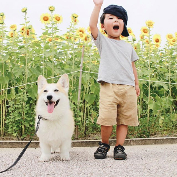 【いぬねこ うちのこ。】ようくん（3歳）とコーギーのニナちゃん／camiさん