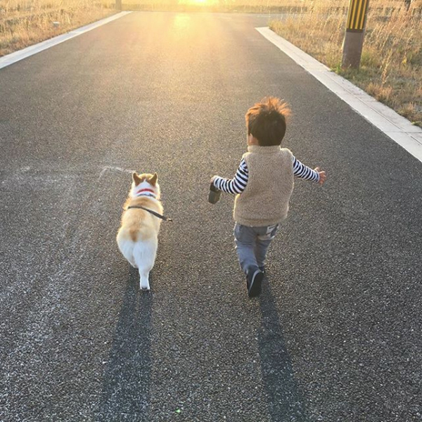 【いぬねこ うちのこ。】ようくん（3歳）とコーギーのニナちゃん／camiさん