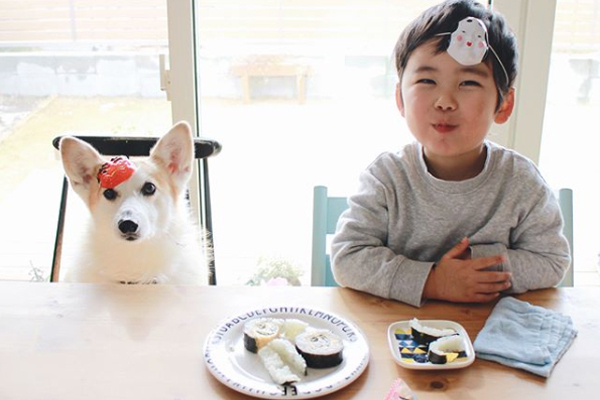 【いぬねこ うちのこ。】ようくん（3歳）とコーギーのニナちゃん／camiさん