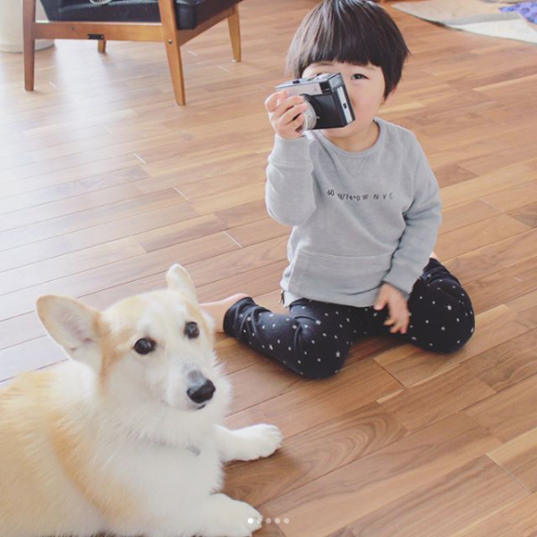 【いぬねこ うちのこ。】ようくん（3歳）とコーギーのニナちゃん／camiさん