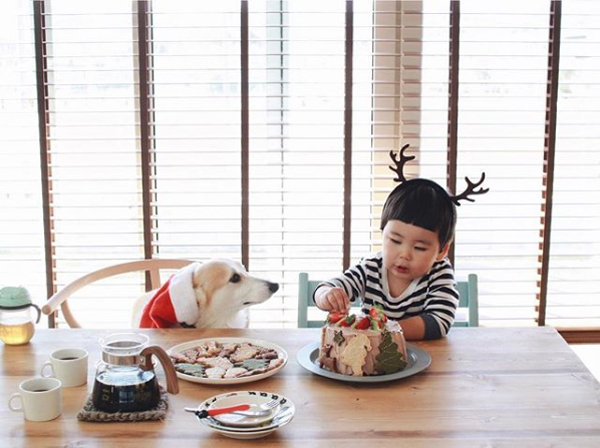 【いぬねこ うちのこ。】ようくん（3歳）とコーギーのニナちゃん／camiさん