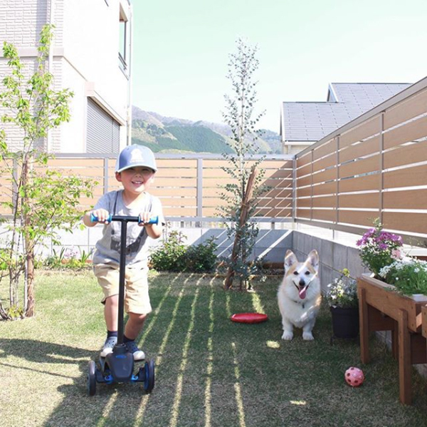 【いぬねこ うちのこ。】ようくん（3歳）とコーギーのニナちゃん／camiさん