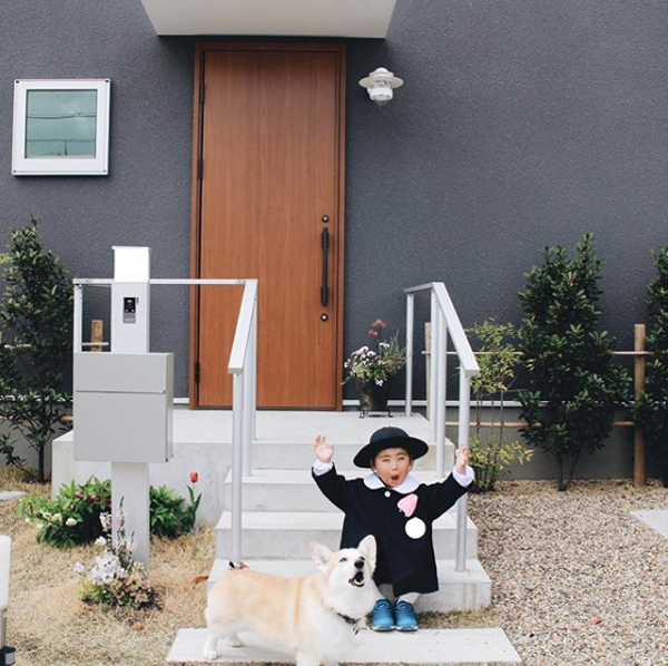 【いぬねこ うちのこ。】ようくん（3歳）とコーギーのニナちゃん／camiさん