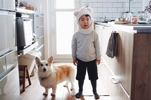 【いぬねこ うちのこ。】ようくん（3歳）とコーギーのニナちゃん／camiさん