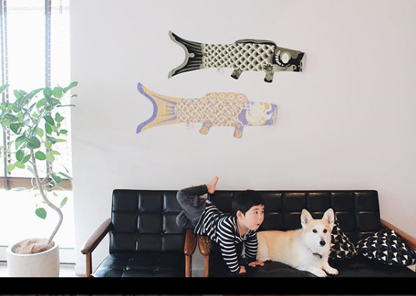 【いぬねこ うちのこ。】ようくん（3歳）とコーギーのニナちゃん／camiさん