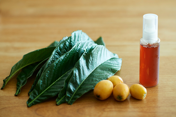 夏の子どもの皮膚トラブル　手作り「ビワの葉スプレー」で優しくケア