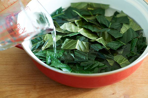 夏の子どもの皮膚トラブル　手作り「ビワの葉スプレー」で優しくケア