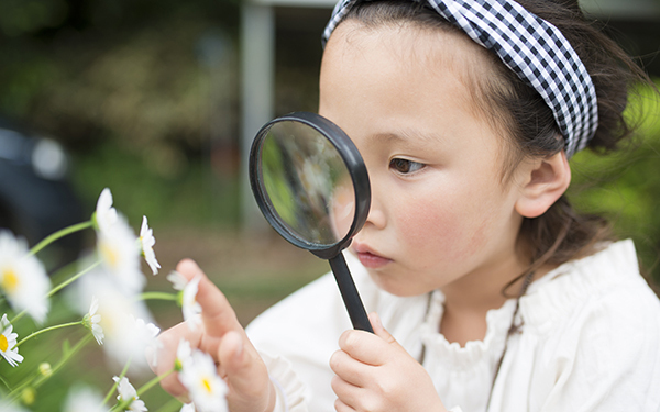 サイエンスの力で子供の「なぜ」を育てる！ 夏休みの知育イベント情報