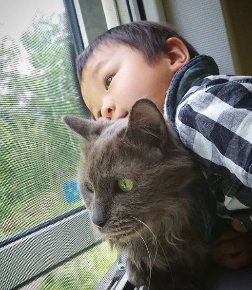 【いぬねこ うちのこ。】ぶんちゃん（２歳）と大きな犬たちと猫のわかば／こましろ母さん