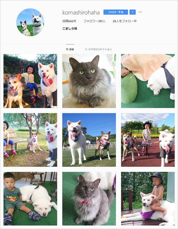 【いぬねこ うちのこ。】ぶんちゃん（２歳）と大きな犬たちと猫のわかば／こましろ母さん