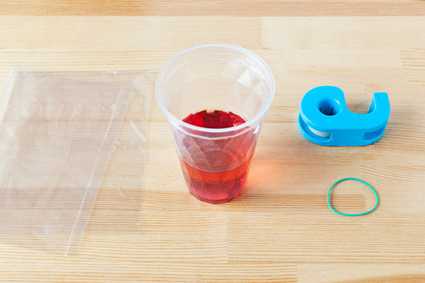 夏のお花を子どもと楽しむ！ 鮮やかな色水あそび【昔ながらが”今”楽しい！レトロアートレシピ Vol.10】