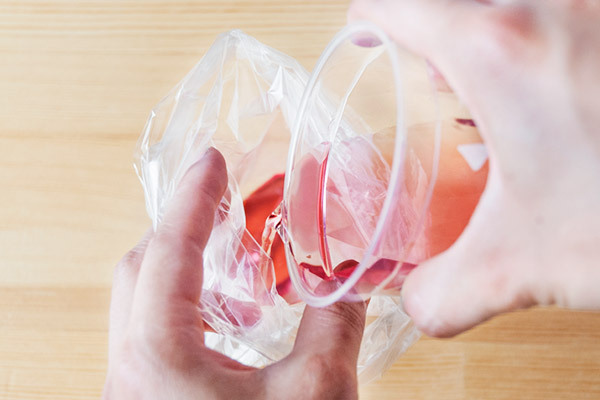 夏のお花を子どもと楽しむ！ 鮮やかな色水あそび【昔ながらが”今”楽しい！レトロアートレシピ Vol.10】