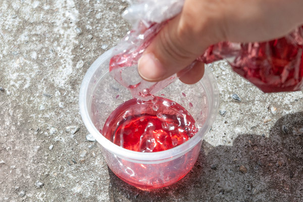 夏のお花を子どもと楽しむ！ 鮮やかな色水あそび【昔ながらが”今”楽しい！レトロアートレシピ Vol.10】