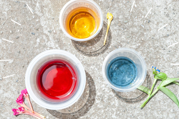 夏のお花を子どもと楽しむ！ 鮮やかな色水あそび【昔ながらが”今”楽しい！レトロアートレシピ Vol.10】