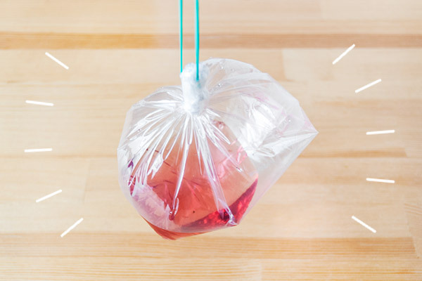 夏のお花を子どもと楽しむ！ 鮮やかな色水あそび【昔ながらが”今”楽しい！レトロアートレシピ Vol.10】