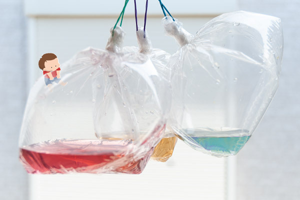 夏のお花を子どもと楽しむ！ 鮮やかな色水あそび【昔ながらが”今”楽しい！レトロアートレシピ Vol.10】