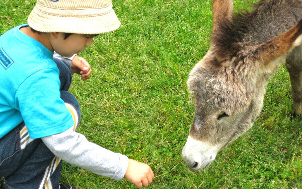 「子どもと旅行、いつからがベスト？」旅が育てる生きる力、“旅育”のすすめ