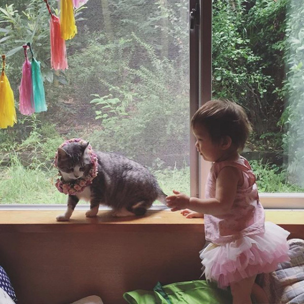 【いぬねこ うちのこ。】なまこちゃん（3歳）と猫のサバ美（推定10歳）／坂本美雨さん