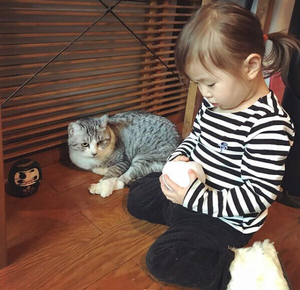 【いぬねこ うちのこ。】なまこちゃん（3歳）と猫のサバ美（推定10歳）／坂本美雨さん