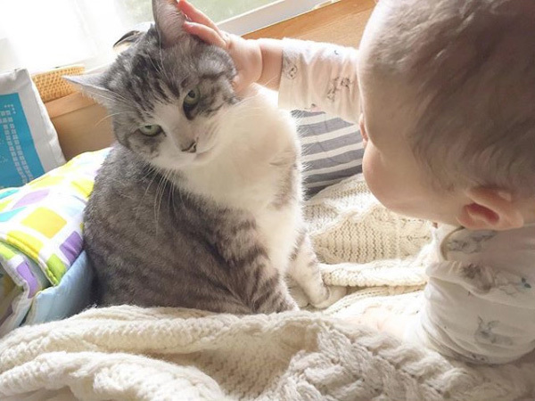 【いぬねこ うちのこ。】なまこちゃん（3歳）と猫のサバ美（推定10歳）／坂本美雨さん
