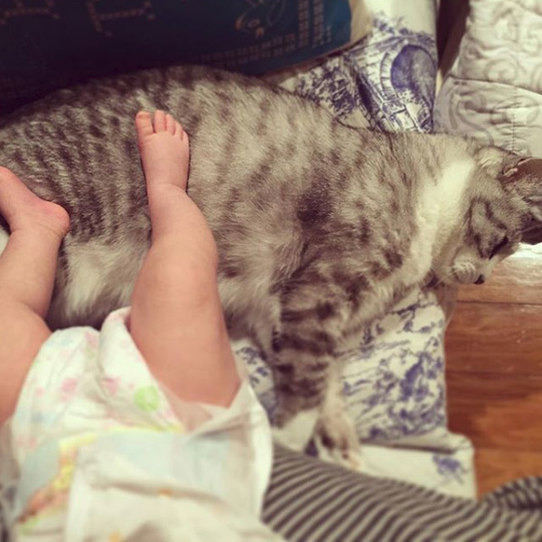 【いぬねこ うちのこ。】なまこちゃん（3歳）と猫のサバ美（推定10歳）／坂本美雨さん