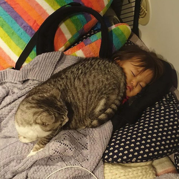 【いぬねこ うちのこ。】なまこちゃん（3歳）と猫のサバ美（推定10歳）／坂本美雨さん