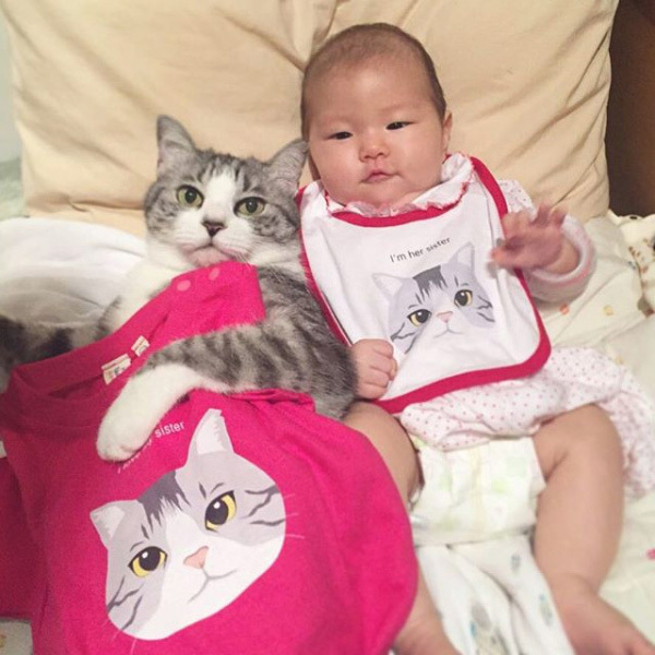 【いぬねこ うちのこ。】なまこちゃん（3歳）と猫のサバ美（推定10歳）／坂本美雨さん
