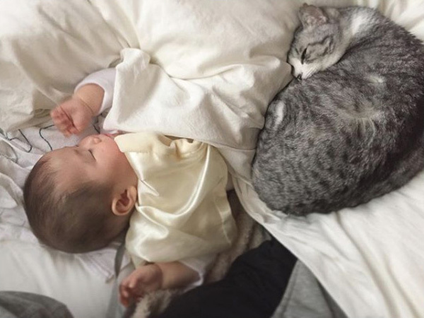 【いぬねこ うちのこ。】なまこちゃん（3歳）と猫のサバ美（推定10歳）／坂本美雨さん