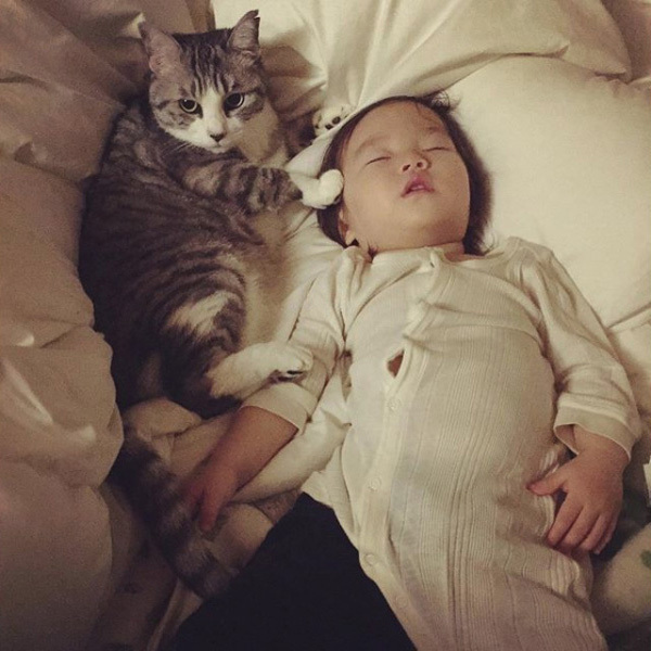 【いぬねこ うちのこ。】なまこちゃん（3歳）と猫のサバ美（推定10歳）／坂本美雨さん