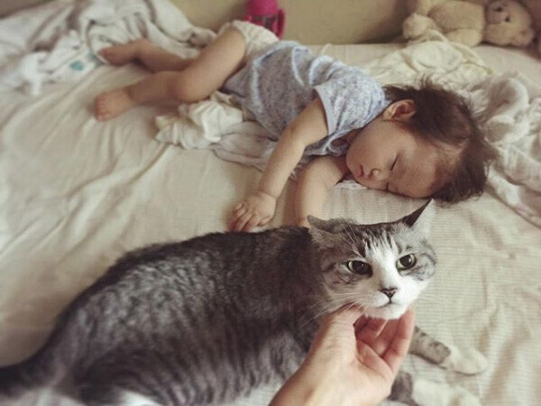 【いぬねこ うちのこ。】なまこちゃん（3歳）と猫のサバ美（推定10歳）／坂本美雨さん