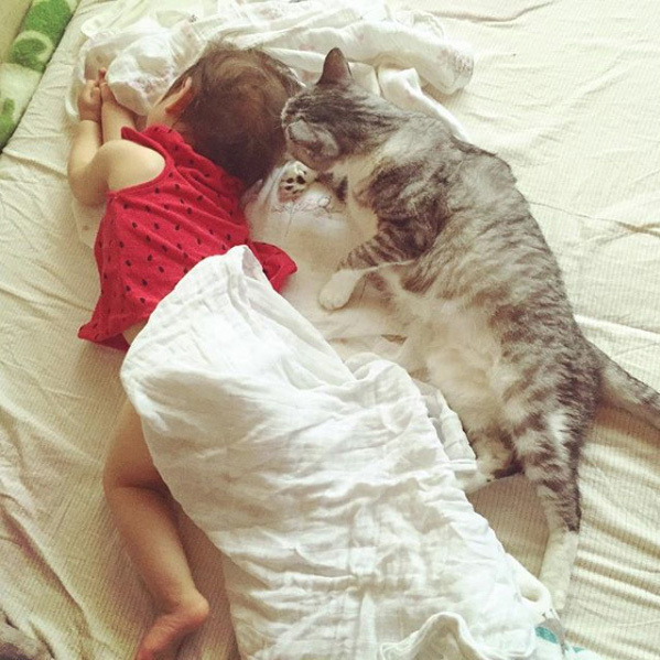 【いぬねこ うちのこ。】なまこちゃん（3歳）と猫のサバ美（推定10歳）／坂本美雨さん