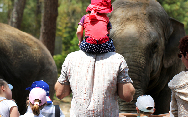 「書くこと」が苦手な子をサポートするには、親の意識改革が必要【花まる式：子どもの“書く力”の育て方 Vol.2】