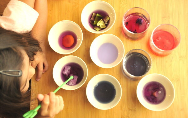 夏休みの自由研究、どうする？「料理を科学する」ナショジオ式、親子で実験！