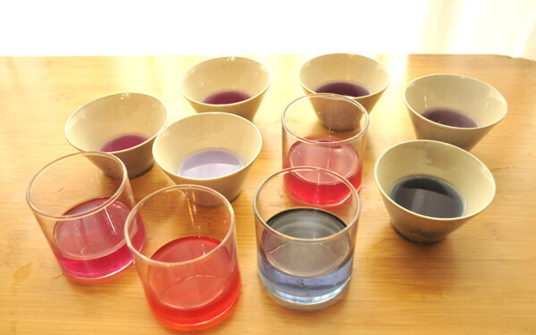 夏休みの自由研究、どうする？「料理を科学する」ナショジオ式、親子で実験！