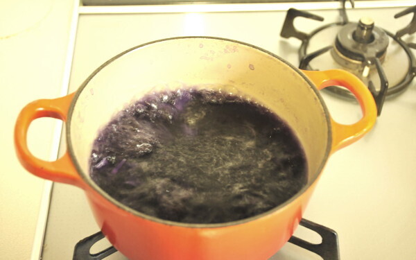 夏休みの自由研究、どうする？「料理を科学する」ナショジオ式、親子で実験！