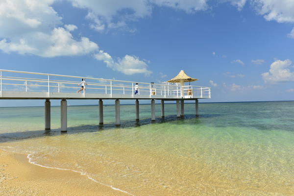 子連れ旅で沖縄・石垣島へ！　移住したママライターが薦める「いま行くべきスポット」