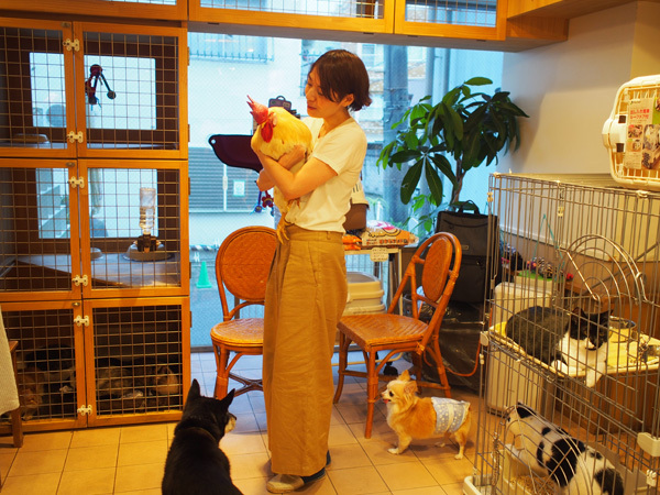 小さな子どもと犬猫たちが  “家庭で共生する”  ためのコツ【友森玲子さんインタビュー】（前編）