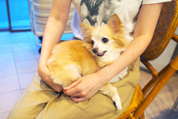 子どもに「動物を飼いたい」と言われたら親が考えるべきこと【友森玲子さんインタビュー】（後編）