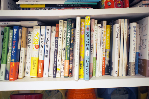 子どもに「動物を飼いたい」と言われたら親が考えるべきこと【友森玲子さんインタビュー】（後編）