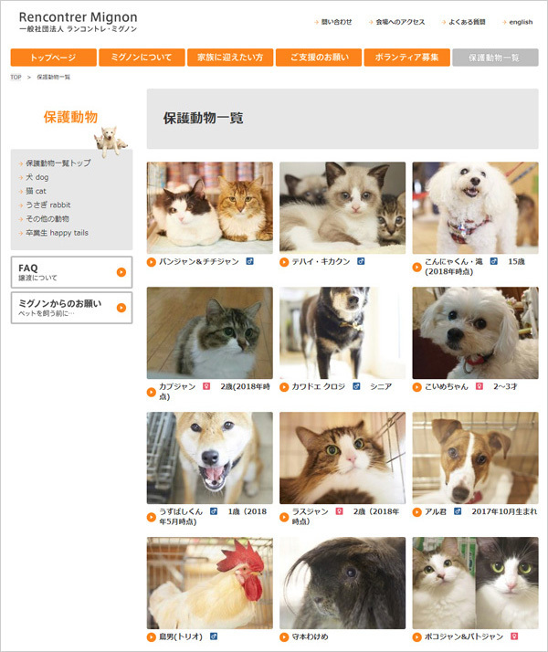 子どもに「動物を飼いたい」と言われたら親が考えるべきこと【友森玲子さんインタビュー】（後編）