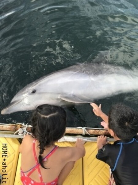 子どもと夏遊び「海へ山へご近所へ？」平成最後の夏の過ごし方