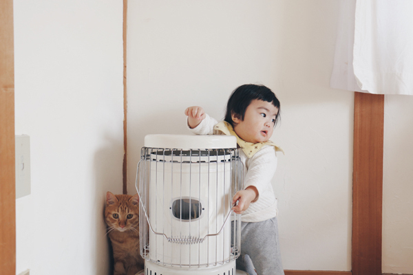 【いぬねこ うちのこ。】小さな兄弟と猫の金太郎とあずき／yukariiiさん