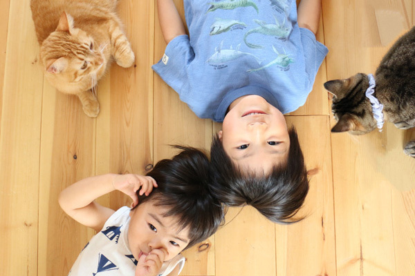 【いぬねこ うちのこ。】小さな兄弟と猫の金太郎とあずき／yukariiiさん