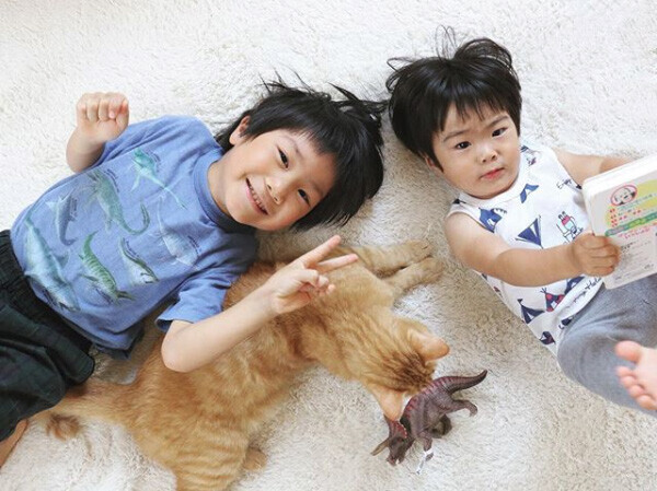 【いぬねこ うちのこ。】小さな兄弟と猫の金太郎とあずき／yukariiiさん